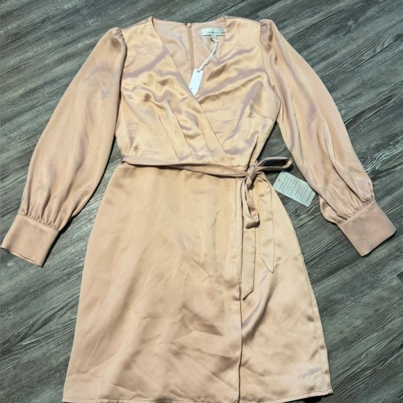 Adelyn Rae Abby Faux Wrap V-neck Mini Dress Long Sleeve
Pink Satin Size M Nwt - Picture 2 of 3